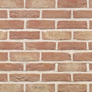 WIENERBERGER BRIQUES GAMME FLEUR DE POMMIER